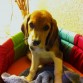 Leo, primer dia :) 2 mesecitos.